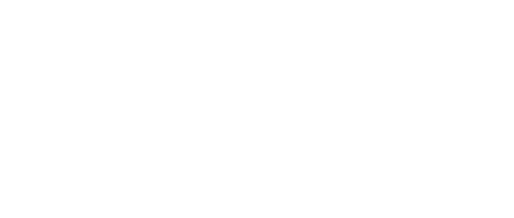 Waverly Main Street